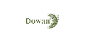 Dowan cashback