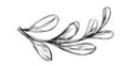 J&L Naturals cashback