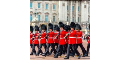Tour of London cashback